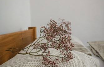 Domy pod 12-stką - Foto 22