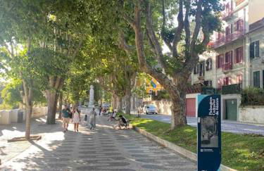 Sintra Clássica - Foto 4