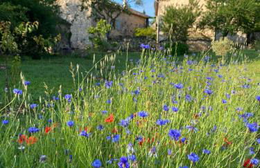 La Pause noble val - Foto 43