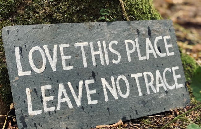 Bell Tent , Carreglwyd Estate, Anglesey - Photo 18