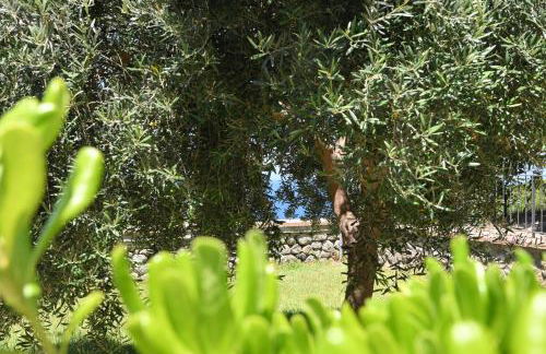 Appartamenti Ischia la Sentinella - Foto 44