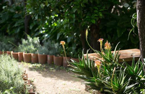 Apartments Benussi - Foto 38