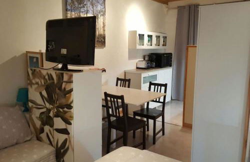 Le Chai de l'Océan - Studio Avec jardin et terrasse - plage 300 m - Foto 28