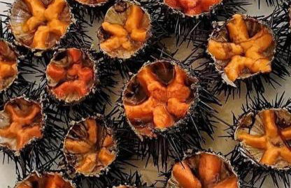 La Maison d'Eugenia - Foto 19