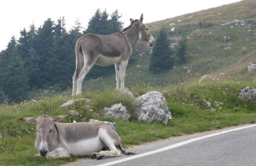 Country Club Da Cesco - Foto 55