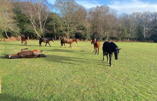 1 Blue Waters - Foto 27