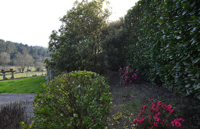 Casas de Pindela - Foto 49