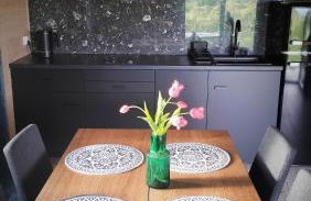 Dzikie Lisko - Domy wakacyjne w Bieszczadach - Foto 9