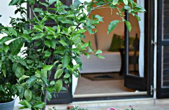 Apartment Sopta - Photo 7