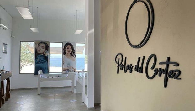 Learn about traditional and contemporary techniques