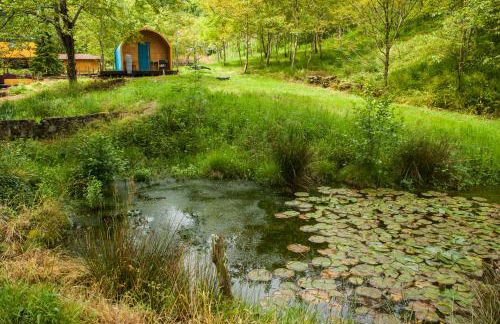 Cabañas aloños sociedad limitada - Foto 9