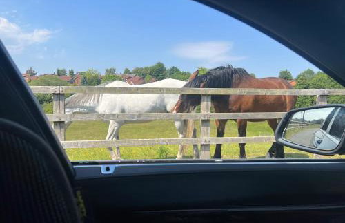 The Lodge Oldham - Photo 4