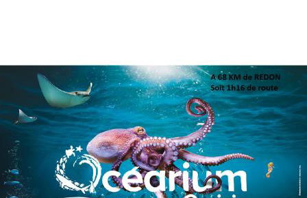 Spacieux T3 lumineux dans quartier historique avec wifi - Foto 36