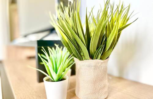 COLMAR - Appartements Deluxe - Lumineux - Stationnement Gratuit et Facile dans la rue - Foto 30