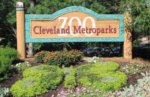 Apt+ 2 Queens+Bunkbed+Free Parking 55"TV - Photo 56