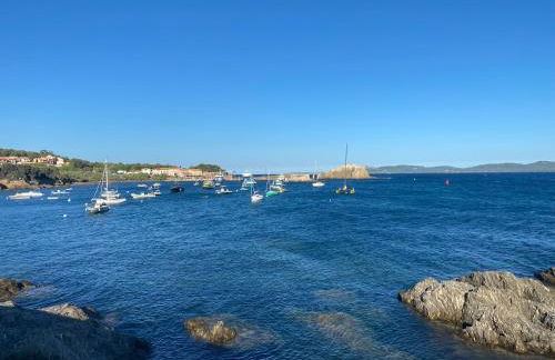 CAP SUD 83 APPART VUE MER 200m plages - Foto 25