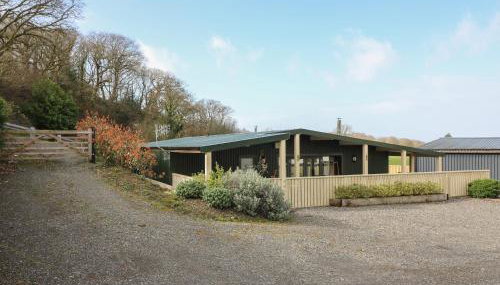 Y Felin - Moana - Foto 4