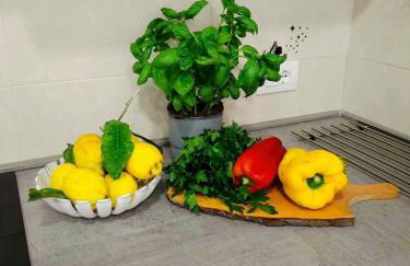 YourHome - Alisea Home - Foto 49