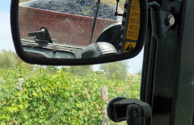 La Capannaccia - Foto 23