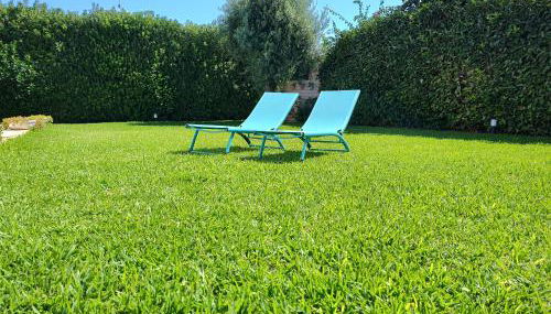 Endless Summer - Foto 2, Garden, sunbed, Garden view