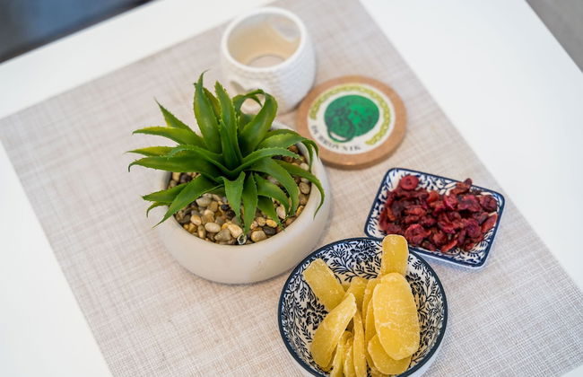 Apartment Cvjetković - Foto 28