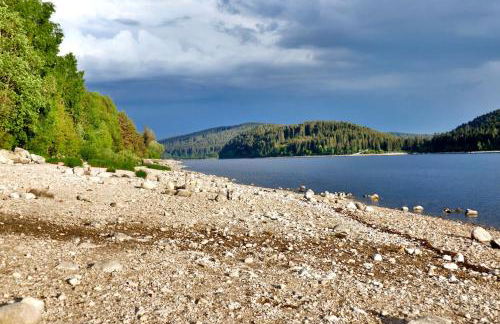 Gästehaus Seewald- Ferienwohnung 7 "Eiche", Schluchsee, Blasiwald - Foto 3