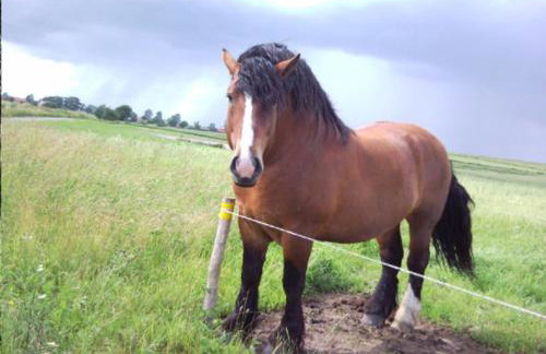 Fajne Miejsce - Foto 21