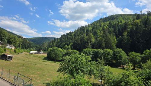 Hirsch Panorama - Foto 4