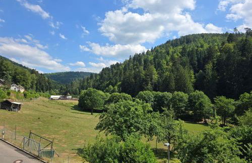 Hirsch Panorama - Foto 4