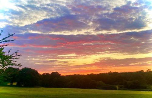 Isabel Top Farm - Foto 18