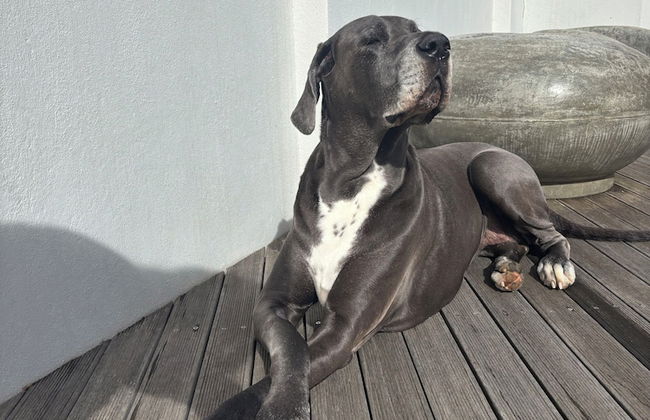 A Riverbed Guesthouse - Photo 65