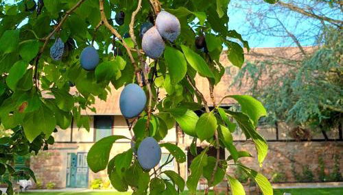 Domaine LaPromise - Photo 3