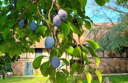 Domaine LaPromise - Photo 3