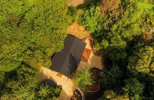 Wilderness Lodge - Foto 28