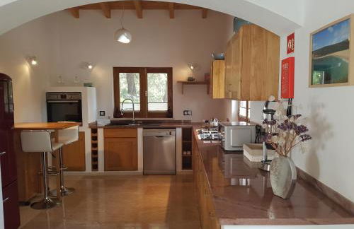 Casinha Laranja - Foto 11