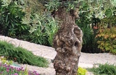 Casa dell ´amore - Foto 33