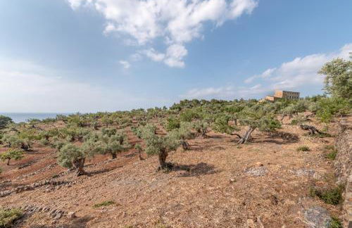 Deià semi-detached sunny country house, near GR221 - Foto 4