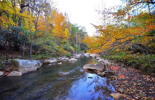 Abrams Creek Center - Foto 46