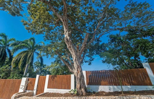 Nianna Eden - Photo 76