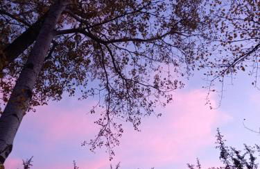 Agriturismo Malvista - Foto 13