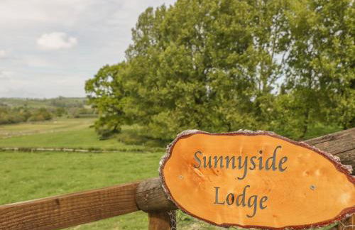 Sunnyside Lodge - Photo 28