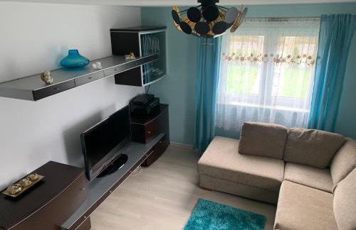 Villa Wiki w Górach - Foto 24