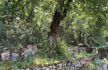 Casa vacanze a Prosecco - Trieste - Foto 27