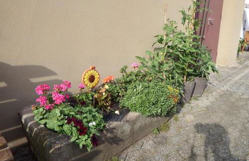 Ferienhaus Eckstein - Foto 15