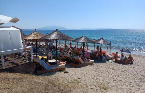 FREDDY'S PLACE - Photo 14