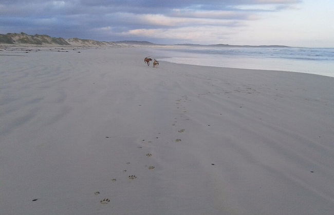 Franskraal Collection - Foto 22