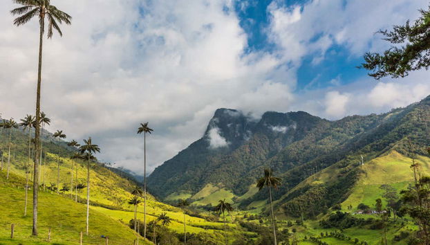 Tour por los miradores de Salento - Foto 5