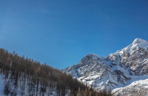 WHISPERING PINES LODGE Mountain view apartment with ski-in access - Foto 7