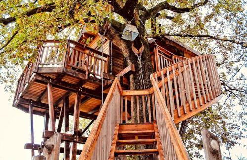 Agriturismo Relais Tenuta il Cigno - Foto 65