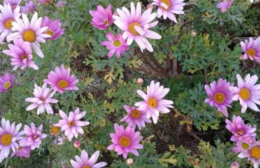 Villa Irida - Foto 63